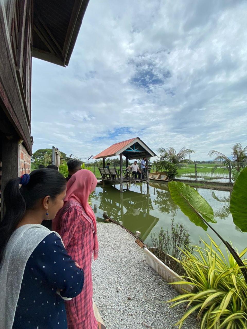 Dangau Sala D'Kontena Alor Setar Dış mekan fotoğraf